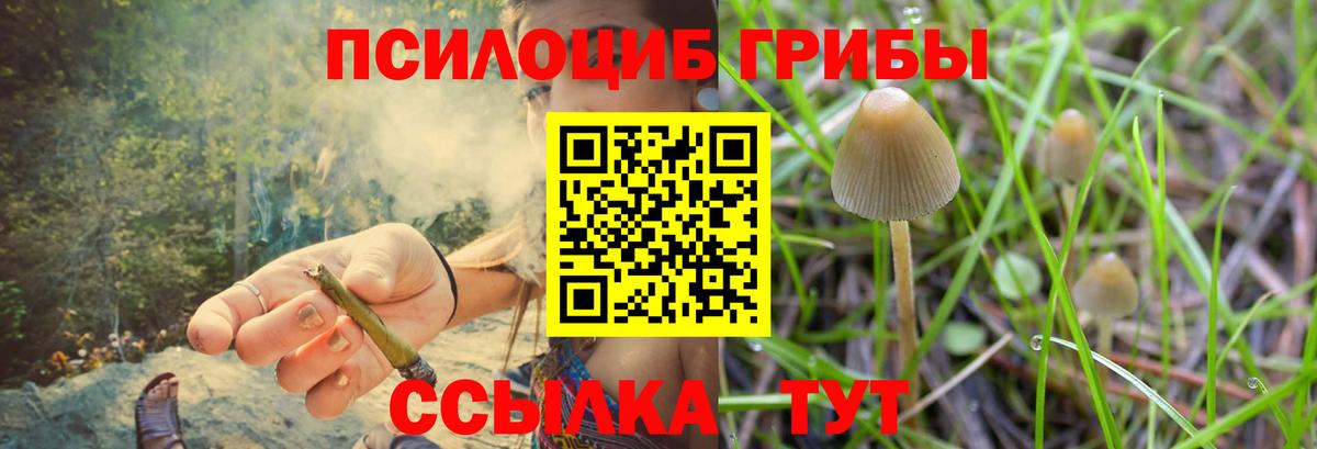 Галлюциногенные грибы Magic Shrooms  Галлюциногенные грибы мухоморы  Альметьевск  Вход с VPN 